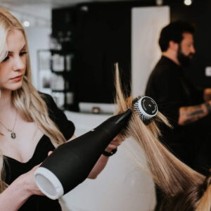 T section highlights