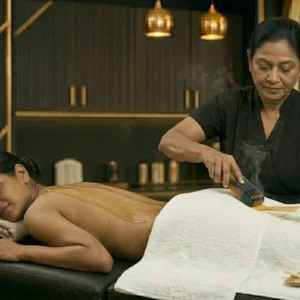 Full Back - (Cartridge)